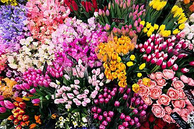 特朗普关税将深度影响主机和实体游戏的未来