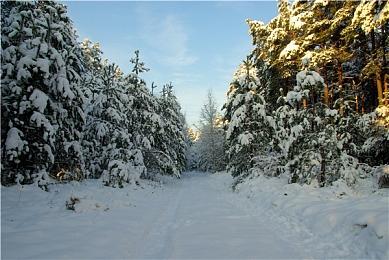 恐怖游戏《HORROR TALES: The Beggar》 6月17日发售